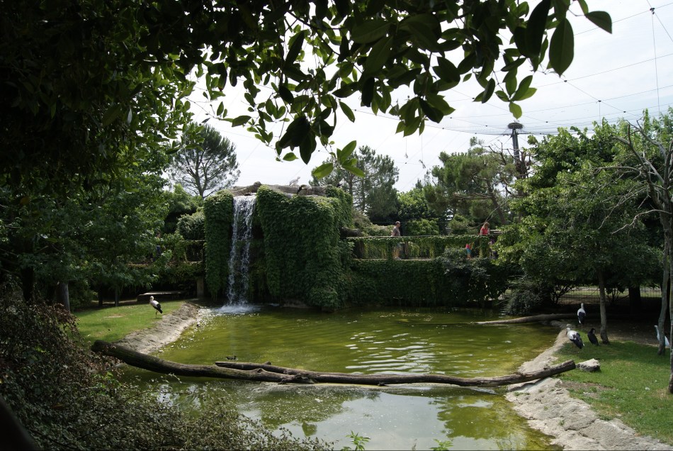 Parco Faunistico Le Cornelle