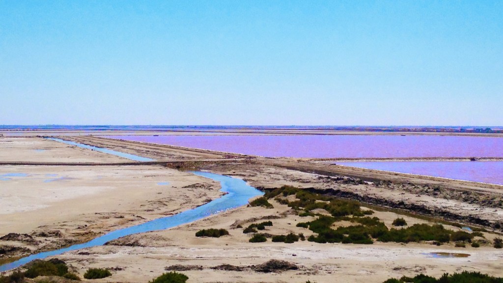 Viaggio in Provenza, Camargue