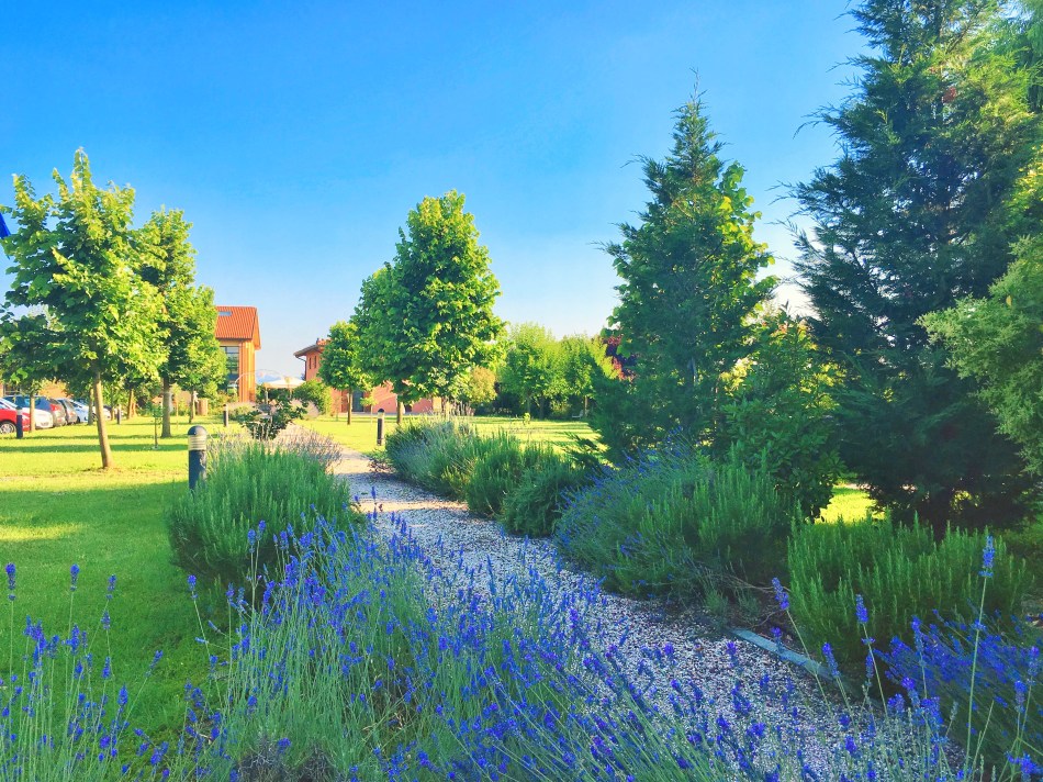 Diario di Viaggio. Fuga dalla Città.