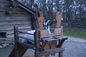 Diario di Viaggio club. Stoccolma.